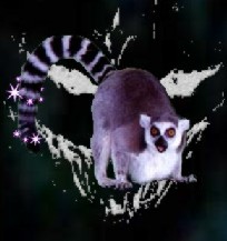 Lemur.jpg (13891 bytes)